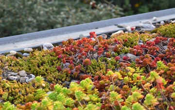 the cost of Braevallich green roof installation